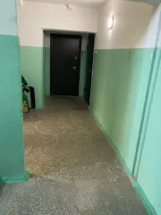 Доля 1/3 квартиры, 64 кв.м, Красноярский край, Железногорск, Ленинградский пр-кт. Доля в праве 1/3, квартира по адресу: Красноярский край, ЗАТО Железногорск, г. Железногорск, пр-кт Ленинградский, д. 105, кв. 25, кадастровый номер: 24:58:0312002:2337. Во избежание претензий к АУ относительно…