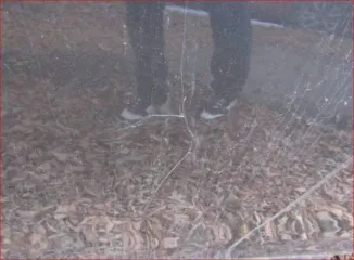 Lexus GS300 2006 года, VIN: JTHBH96SX05041803, госномер: Х014ЕО774.