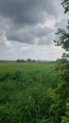 Жилой дом, 42,1 кв. м, Краснодарский край. Жилой дом, площадь 42,1 кв. м. в Краснодарском крае. Жилой дом, площадь 42,1 кв. м., адрес (местонахождение): Россия, край Краснодарский, р-н Крымский, с\п Киевское, х. Карла Маркса, дом 14, кадастровый (условный) номер: 23:15:0417001:113. Без координат…