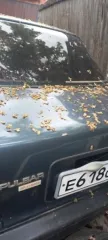 Nissan Pulsar, госномер Е618СХ124, год выпуска не установлен. Находится в г. Канск. Документы отсутствуют. Техническое состояние не проверялось. Многочисленные следы ржавчины. Частично разукомплектован. Наложены запреты на регистрационные действия. Экологический класс 4. Погрузка и транспортировка…