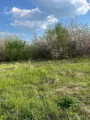 Земельный участок в Ульяновской обл., 600 кв.м, площадь: 600кв.м., адрес (местонахождение): 433391,УЛЬЯНОВСКАЯ ОБЛАСТЬ,УЛЬЯНОВСКАЯ ОБЛАСТЬ,р-н. Сенгилеевский,,с. Шиловка,ул. 8 Марта,111, кадастровый номер: 73:14:011701:2147
