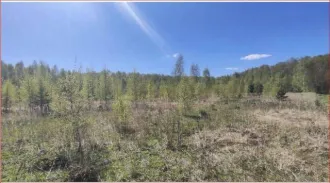 Земельный участок, 800 кв.м, Московская область, городской округ Раменский, д. Булгаково, кадастровый номер: 50:23:0050553:1191