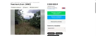 Земельный участок, кадастровый номер 23:49:0407004:8585, расположенное по адресу: Российская Федерация, Краснодарский край, г. Сочи, Адлерский р-н, с. Нижняя Шиловка, ул. Мясникяна, 279 +/ -6. Имущество находится в совместной собственности с супругом.