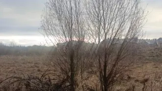 Земельный участок 105 кв. м, Новгородская обл., г. Великий Новгород, ш. Юрьевское. Кадастровый номер: 53:23:7814702:887. Площадь: 105+/-3 кв. м. Основной вид разрешенного использования: 2.0. Ограничение права: арест.