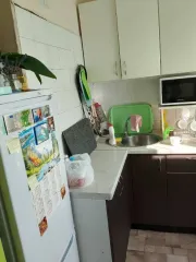 Доли квартиры 28,4 кв.м, Удмуртия 1/4 доли квартиры в Удмуртии, еще 1/4 доли квартиры в Удмуртии, еще 1/4 доли в праве общей долевой собственности на жилое помещение - квартиру, кадастровый (условный) номер: 18:04:162003:346, адрес (местонахождение): Удмуртская Республика, муниципальный округ…