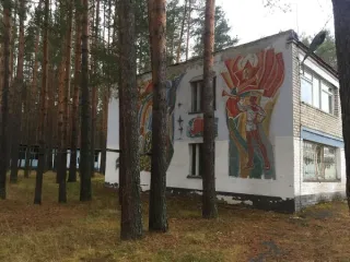 Детский оздоровительный лагерь "Связист" площадью 53232 кв.м расположен в Нижегородской области, Вадский район, деревня Костино. Комплекс включает земельный участок площадью 50000 кв.м, десять зданий общей площадью 3211,80 кв.м и одно сооружение — трансформаторную подстанцию №492 площадью застройки…