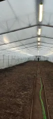 Земельный участок площадью 11435 кв.м, земли сельскохозяйственного назначения, для ведения крестьянского (фермерского) хозяйства. Ленинградская область, Всеволожский район, Рахьинское городское поселение, кадастровый номер 47:07:0953003:486. На участке расположено имущество: теплица (металлический…