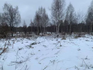 Земельный участок, кадастровый номер 76:11:043802:728, виды разрешенного использования: земли сельскохозяйственного назначения, для дачного строительства, площадь 1513 кв.м, адрес: Ярославская область, р-н Переславский, с/о Глебовский, вблизи с. Голоперово, ДНП "Залесские Дали", участок 48…