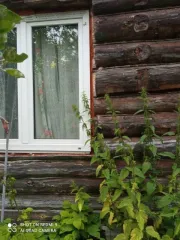 Дом 43,9 кв.м., жилое здание, Владимирская область, Российская Федерация, Владимирская область, м.о. Гороховецкий, п. Пролетарский, ул. Советская, д. 26, кадастровый номер: 33:09:020304:1059