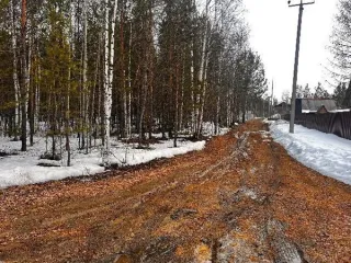 Земельный участок 631 кв.м, СТ №64 «Светлое», ХМАО-Югра. Ежегодный размер арендной платы за земельный участок с кадастровым номером 86:10:0102001:2485, площадью 631 кв. м, местоположение: Ханты-Мансийский АО – Югра, город Сургут, СТ № 64 «Светлое», участок № 3, категория земель – земли населенных…