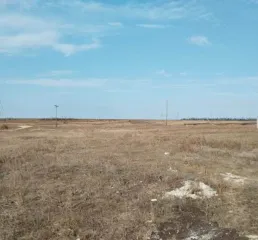 Право заключения договора аренды земельного участка В соответствии с описанием лота в Извещении 
Кадастровый номер земельного участка: 34:17:130006:543 
Площадь земельного участка: 6564 
Вид разрешённого использования земельного участка: 1.15 
