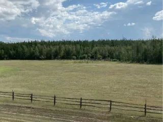 Земельный участок. площадь 60000 +/- 2143 кв.м, кадастровый номер 14:33:011002:109, вид права, доля в праве: Общая долевая собственность 1/3
Расположенный по адресу: Местоположение установлено относительно ориентира, расположенного в границах участка. Ориентир -Почтовый адрес ориентира: Республика…