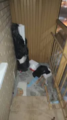 Квартира 32,1 кв.м, Новосибирск, Лазурная улица, дом 32, квартира 116. Площадь общая 32,1 кв.м: жилая 13,3 кв.м, кухни 9,6 кв.м.