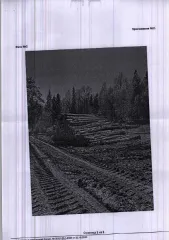 Древесина 507.5 куб.м в Пермском крае. Количество, породный и сортиментный состав древесины (вся древесина - хлысты): береза – 58.3 куб.м., ель – 34.5 куб.м., липа – 252.8 куб.м., осина – 57.9 куб.м., вяз – 10.9 куб.м., ильм – 2.5 куб.м., ольха с. – 0.2 куб.м., пихта – 51.1 куб.м., сосна – 23.4…