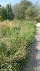 Здание 8 кв.м и земельный участок 800 кв.м в Калужской области, Боровский район, деревня Шемякино. Участок для ведения личного подсобного хозяйства, площадь 800 +/-12 кв.м, кадастровый номер 40:03:050801:578. Нежилое здание площадью 8 кв. м, кадастровый номер 40:03:050801:779. Доля в праве…