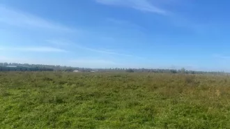 Аренда земельного участка из земель населённых пунктов площадью 1204 кв.м (кадастровый номер 38:06:100401:1104, адрес:  Российская Федерация, Иркутская область, Иркутский муниципальный район, Хомутовское сельское поселение, деревня Талька, переулок Байкальский, земельный участок 7). земельный…