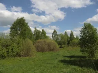 Земельный участок с кадастровым № 33:01:000227:112 общей площадью 618922 +/- 6873 (Единое землепользование состоящее из земельных участков с кадастровыми № 33:01:000227:90, 33:01:000227:91), местоположение обл. Владимирская, р-н Александровский, МО Краснопламенское с/п, примерно в 1900 м по…