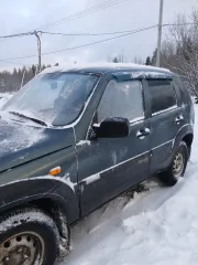 Шевроле Нива 2011 года, VIN X9L212300B0328425.