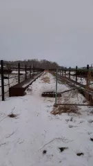 Земельный участок с кадастровым номером: 72:11:1201001:69; виды разрешенного использования объекта недвижимости: Для обслуживания зданий, строений; площадь: 64 205 кв. м.; вид права: Общая долевая собственность: 49759/64205; дата государственной регистрации: 07.06.2018 г.; Адрес: Местоположение…