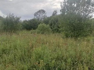 нежилое здание, площадь: 12кв.м, кадастровый номер: 53:20:0100807:13 и право аренды на земельный участок, площадь: 815 кв.м., кадастровый номер: 53:20:0100807:5, категория земель: земли населенных пунктов, вид разрешенного использования: длч индивидуальной жилой застройки, адрес: новгородская…