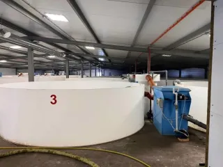 Строительство фермы по выращиванию форели по адресу д. Мещеряково Промпарк «Буинск» Буинского муниципального района, кадастровый номер 16:14:140102:762, общая площадь 1 432,0 кв.м. (в залоге АО «Татагролизинг»); Административное здание, кадастровый номер 16:14:140102:763, общая площадь 57,4 кв.м…