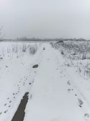 Земельный участок, площадь: 75697 +/- 96,3 кв.м., категория земель: земли населенных пунктов, вид разрешенного использования: для размещения и эксплуатации производственных объектов, КН 23:39:0705001:1300
Расположенный по адресу: Местоположение установлено относительно ориентира, расположенного в…