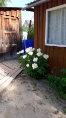 Земельный участок 764 кв.м., ХМАО-Югра. Категория земель: земли сельскохозяйственного назначения, разрешенное использование: под садоводство. Находится по адресу: Ханты-Мансийский автономный округ - Югра, р-н Нефтеюганский, урочище «Сингапайский остров», район КНС-7, СНТ «Энергетик», участок № 56…