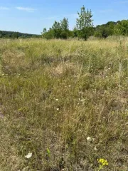 Имущественный комплекс 271.5 кв.м и земельный участок 26471 кв.м, Белгородская область, Шебекинский район, п. Поляна, в границах земель ЗАО «Донец». В составе: нежилое здание площадью 271,5 кв. м. (КН 31:17:0101001:677) и земельный участок площадью 26471 кв.м. (КН 31:17:0103011:13).