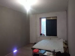 Квартира площадью 101,3 м2 по адресу: Санкт-Петербург, Коломяжский пр-кт, д. 15, корп. 2, лит. А, кв. 1207. Кадастровый номер 78:34:0410401:3102. Находится в совместной собственности с супругой. Имеется задолженность за ЖКУ