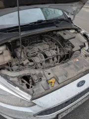 Ford Focus 2017 года выпуска, VIN Z6F5XXEEC5HK41431. Ознакомление с имуществом производится в рабочее время по предварительному согласованию с финансовым управляющим по телефону: +7 (961) 860-00-00 в Кемеровской области, г. Кемерово, пр-кт Советский 2/5.