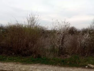 Земельный участок - с кадастровым номером 61:46:0012904:742, общей площадью 602 кв.м., 
Расположенный по адресу: Ростовская обл.. г. Батайск. ДНТ &quot;Весна&quot; ул. Проезд 29-й. №1776
