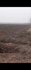 Земельный участок 2000 кв.м, Краснодарский край Земельный участок, кадастровый номер: 23:35:0304004:399, площадь 2000, местоположение установлено относительно ориентира, расположенного в границах участка. Почтовый адрес ориентира: Краснодарский край, Усть-Лабинский район, ст-ца Воронежская. С…