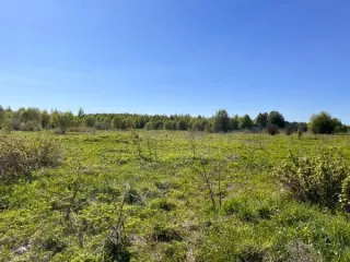 Земельный участок площадью 1891389 кв.м., кад. № 12:03:0202001:73, расположенный по адресу: РМЭ, Килемарский район, в восточной части кад.квартала №12:03:0202001 Вид разрешённого использования земельного участка: 1.0