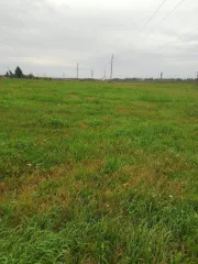 Земельный участок площадью 131000 кв.м. Адрес: 627033, Тюменская область, Ялуторовский район, село Киёво. Кадастровый номер: 72:21:0000000:28. Вид собственности: индивидуальная.