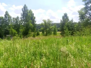 Земельный участок, 2900 кв. м, ИЖС, Московская область, Чехов район, д. Кудаево. В соответствии со статьей 39.18 Земельного кодекса Российской Федерации информируем о возможности предоставления в аренду земельного участка с кадастровым номером 50:31:0050207:547, расположенного по адресу: Московская…