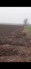 Земельный участок 2000 кв.м, Краснодарский край Земельный участок, кадастровый номер: 23:35:0304004:399, площадь 2000, местоположение установлено относительно ориентира, расположенного в границах участка. Почтовый адрес ориентира: Краснодарский край, Усть-Лабинский район, ст-ца Воронежская. С…