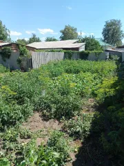 Земельный участок 600 кв.м Омская область 1/2 доля в праве собственности на земельный участок, кадастровый номером 55:23:290101:197, находящийся по адресу: Омская область, р-н РусскоПолянский, с. Солнечное, ул.60 лет Октября, д. 11-1, площадью 600 кв.м.