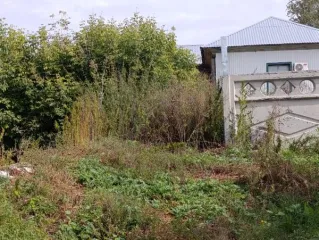 Нежилые здания общей площадью 260 кв. м, земельный участок 987 кв. м, Курганская область. Объекты расположены по адресу: Курганская область, Звериноголовский район, с. Звериноголовское, ул. Красноармейская, д. 9а. В состав входят: 1) нежилое здание, кадастровый номер: 45:05:020111:278, площадь…