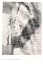 Автомобиль ВАЗ 21099 2003 года, государственный номер Х760РН72, цвет светло-серый, VIN XTA21099033474129. Имеются ограничения ФССП. Имущество продается в том виде, в каком оно есть, в случае продажи возврату/обмену не подлежит. За скрытые дефекты имущества Продавец ответственности не несет.