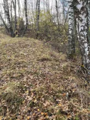 Земельный участок площадью 962 +/- 11 кв. м, категория земель: земли сельскохозяйственного назначения, разрешенное использование: для ведения садоводства, расположенный по адресу: Московская область, Каширский район, ТОО "Каширское", с кадастровым номером: 50:37:0010202:485. Цена: 108810,00 руб.