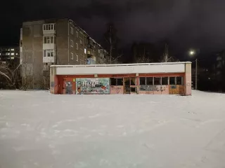 Доля в размере 31/90 в жилом помещении (квартире) с кадастровым номером 66:58:0114001:2869, общей площадью 45.3 кв.м., 
Расположенном по адресу: Свердловская область, г. Первоуральск, ул. Советская, д. 20б, кв. 29