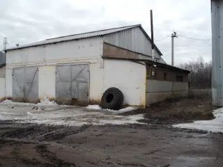 Зерносклад № 2, площадь 821,00 кв. м., год постройки 1982, кадастровый номер: 56:30:0601001:212, адрес: Оренбургская область, Сорочинский район, с. Михайловка Первая, ул. Школьная, дом 53.