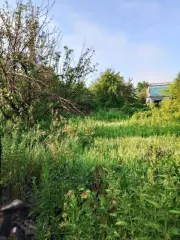 Земельный участок 446 кв.м Челябинская область, площадь 446 кв.м, адрес Российская Федерация, Челябинская область, городской округ Копейский, город Копейск, территория СНТ Кировец, земельный участок 1187, категория земель Земли населенных пунктов, разрешенное использование Для садоводства…