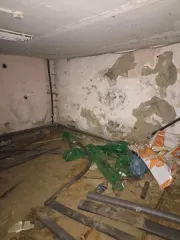 Нежилое помещение 113,4 кв.м, подвал, г. Рязань, ул. Гагарина, д. 87. Нежилое помещение в многоквартирном доме с кадастровым номером 62:29:0070010:2556, назначение: нежилое, площадью 113,4 кв.м, подвал № 0, расположенное по адресу: г. Рязань, ул. Гагарина, д. 87, помещ. Н3, реестровый номер…