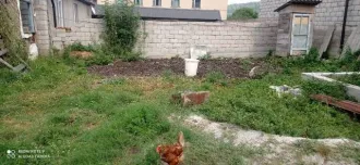 Земельный участок площадью 334 кв.м. Кабардино-Балкарская Республика, Черекский район, село Бабугент, улица Мечиева, дом 97. Назначение: земли населенных пунктов. Кадастровый номер: 07:05:0700006:211.