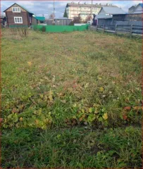 Земельный участок 385 кв.м в Республике Коми, Прилузский район, с. Объячево. Участок расположен в восточной части кадастрового квартала. Категория земель: земли населенных пунктов. Разрешенное использование: для ведения личного подсобного хозяйства. Кадастровый номер: 11:01:5901005:221.