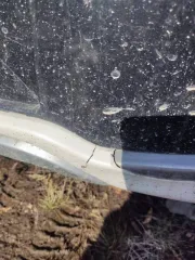 Kia Carnival 2016 года, 202.6 лс, пробег 151960 км, АКПП. VIN: KNAME81ABHS284541.