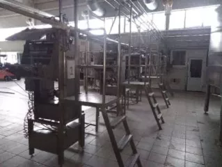 Имущественный комплекс (в том числе залоговое АО "РСХБ" и незалоговое имущество), а также оборудование принадлежащее должнику, полный перечень прилагается.