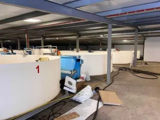 Строительство фермы по выращиванию форели по адресу д. Мещеряково Промпарк «Буинск» Буинского муниципального района, кадастровый номер 16:14:140102:762, общая площадь 1 432,0 кв.м. (в залоге АО «Татагролизинг»); Административное здание, кадастровый номер 16:14:140102:763, общая площадь 57,4 кв.м…