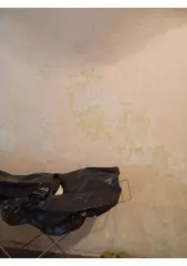 6/100 доли квартиры 390,2м² Ульяновская обл 6/100 доли квартиры в Ульяновске 6/100 доля в праве на квартиру, площадь:
390,2м², адрес (местонахождение):
432025, Ульяновская обл, Ульяновск г,
Толбухина ул, дом № 42, квартира 13,
категория земель: Жилое